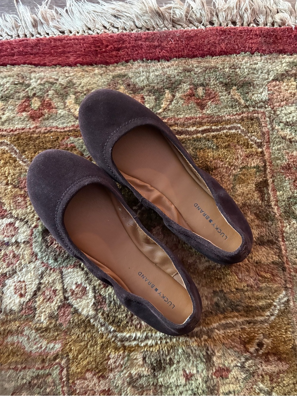 Lucky Brand “ERIN” Women's Suede Ballet Flats in Chocolate Brown